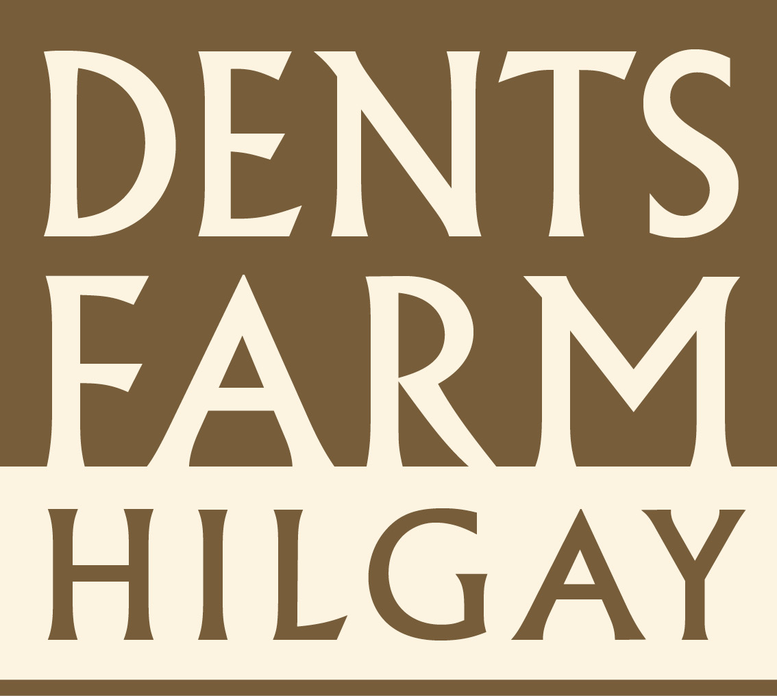 Dents Farm Hilgay Logo